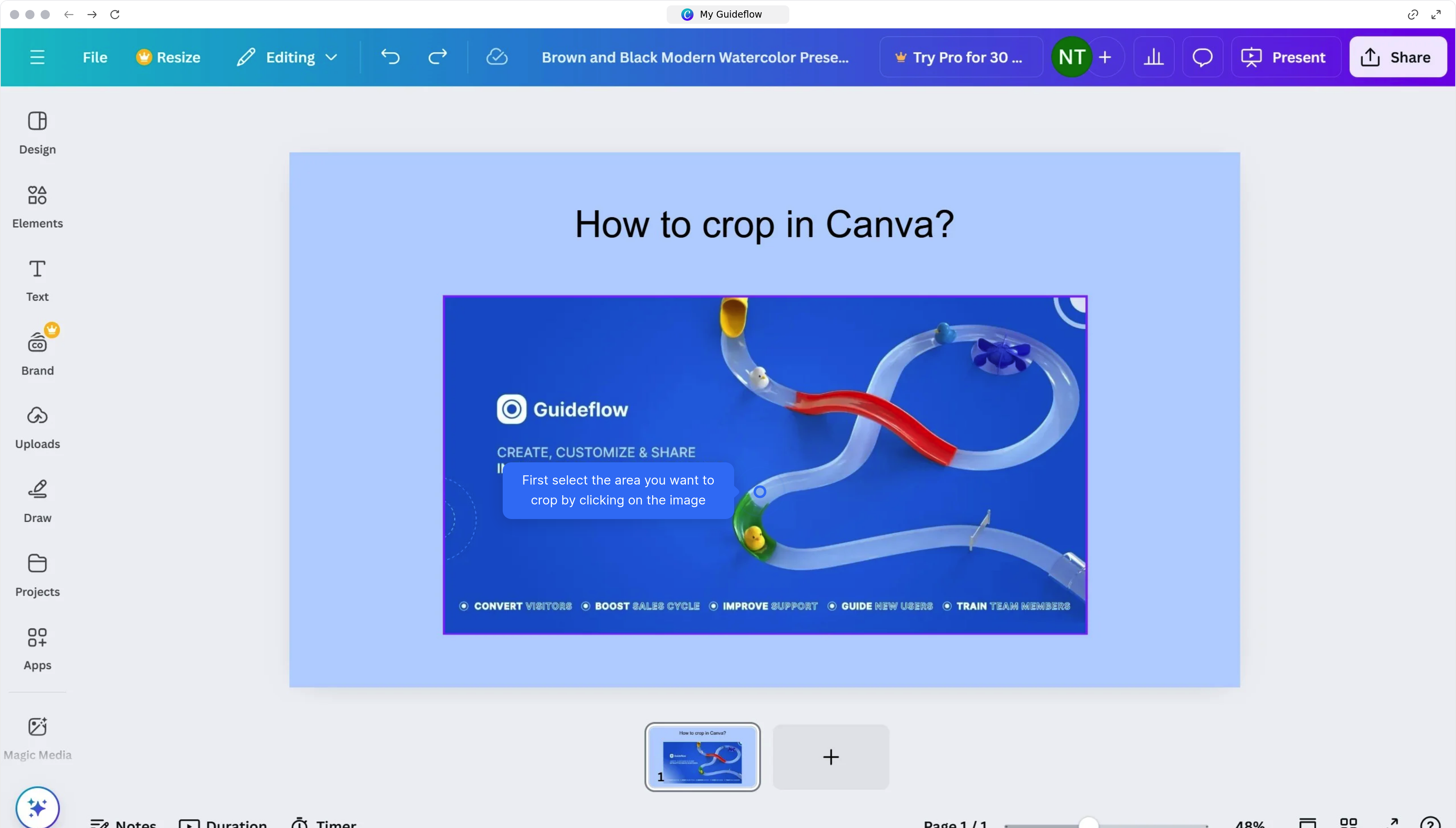 How to crop in Canva?