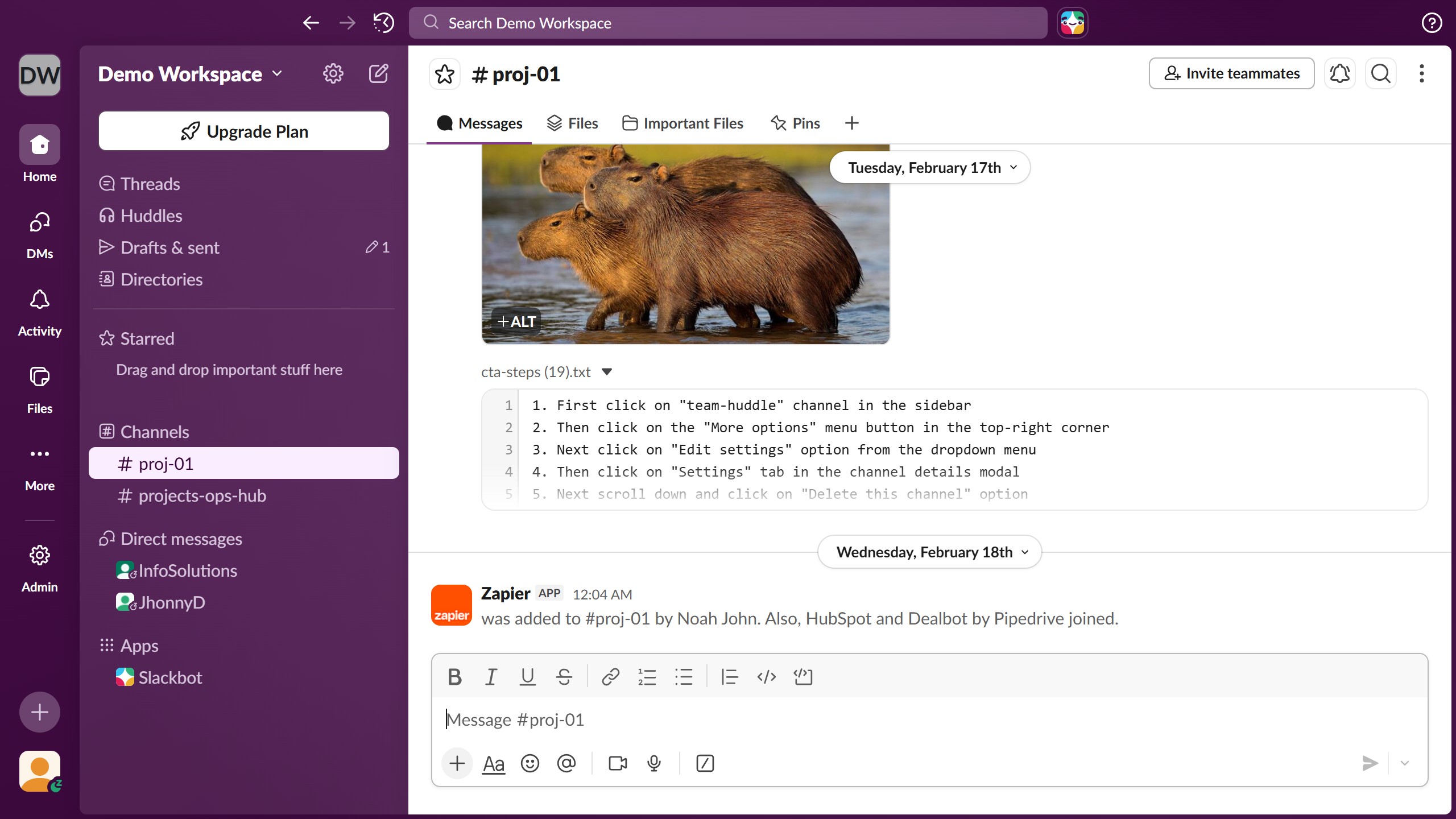 How to add phone number in Slack