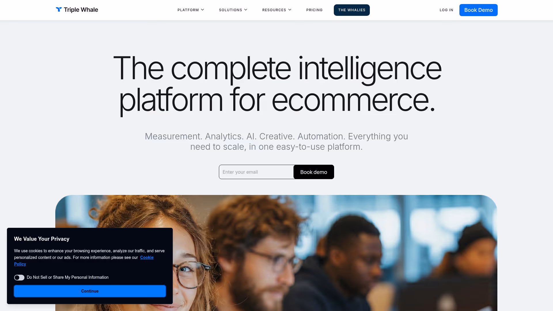 Triple Whale homepage