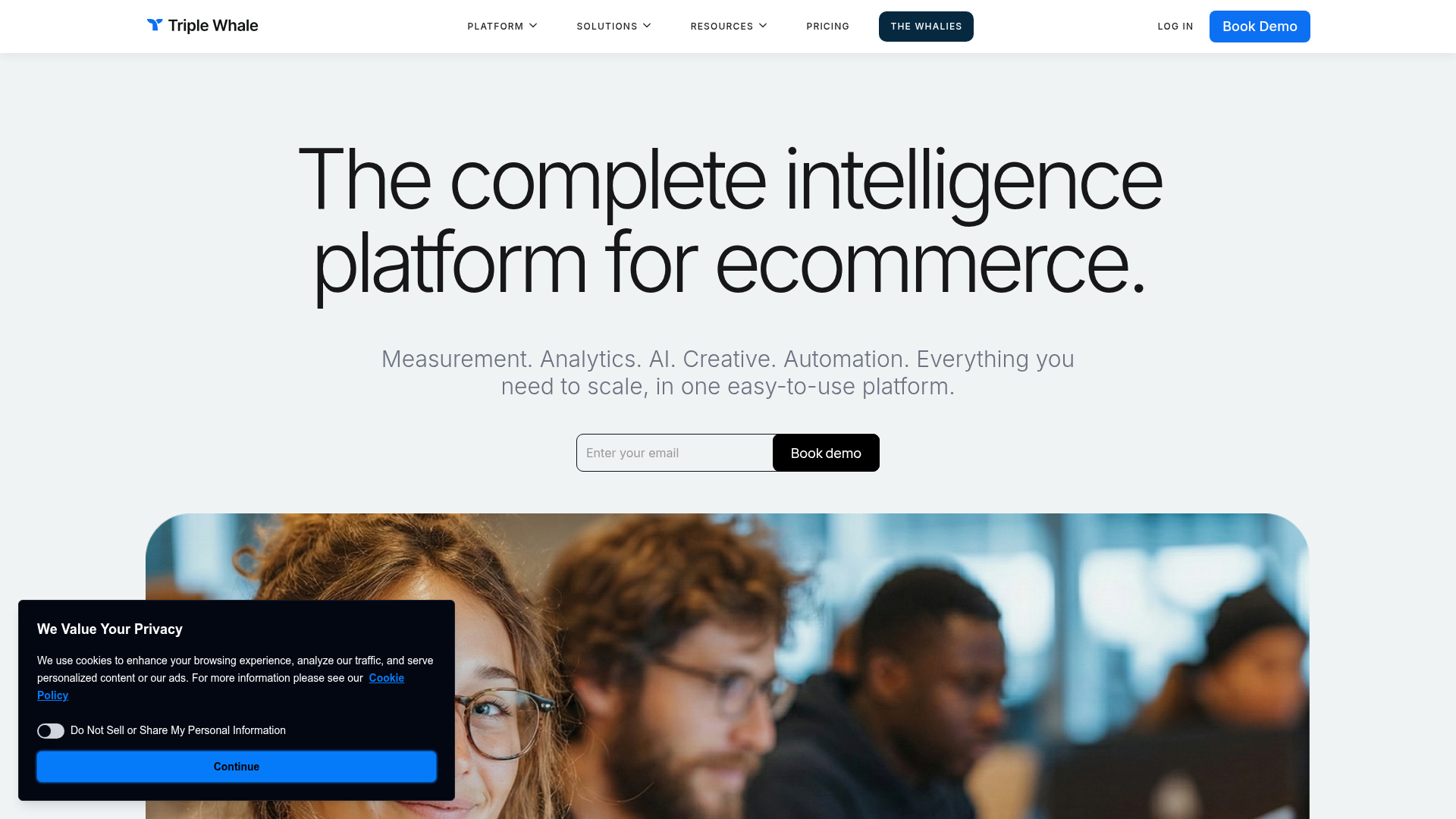 Triple Whale homepage