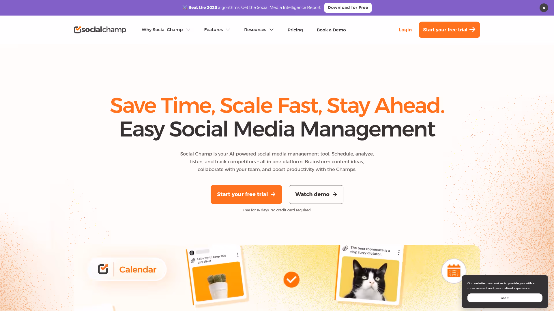 Social Champ homepage