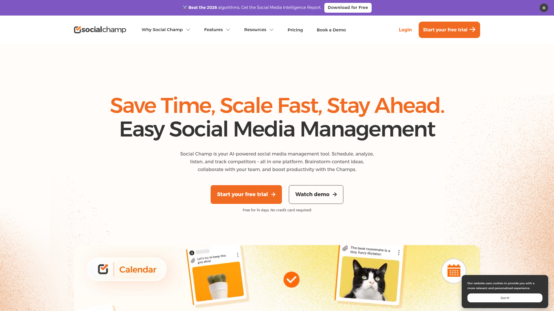 Social Champ homepage