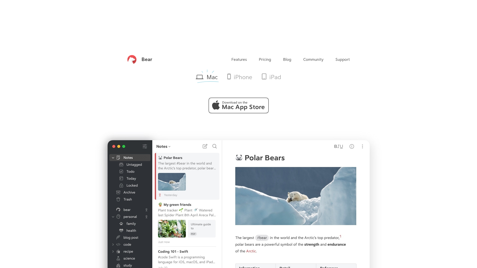 Bear notes app on Mac