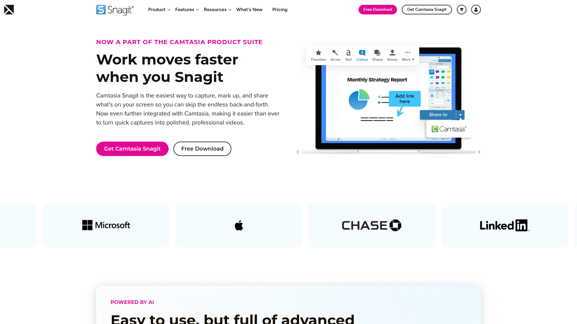 Snagit screen capture and markup interface