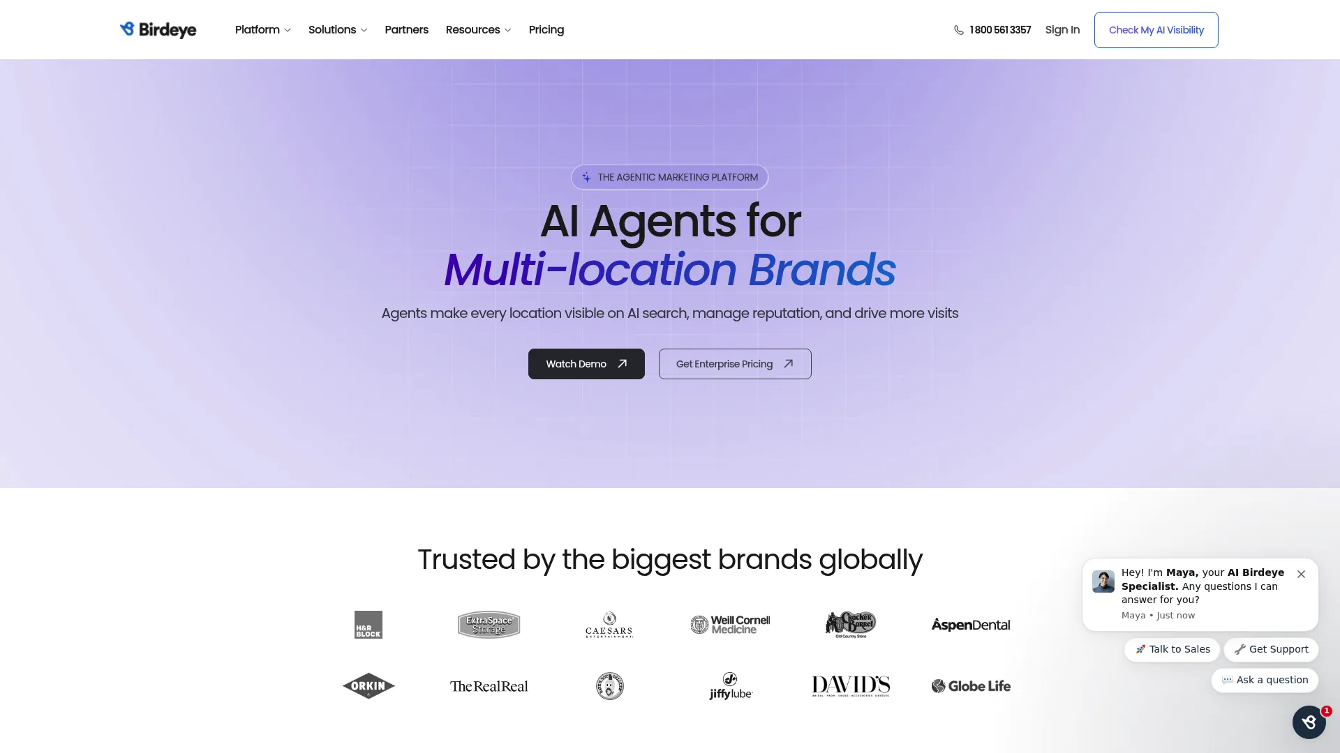 Birdeye review management platform homepage