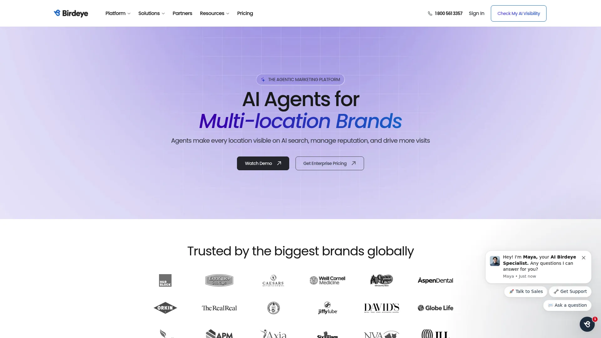 Birdeye reputation and reviews management platform homepage