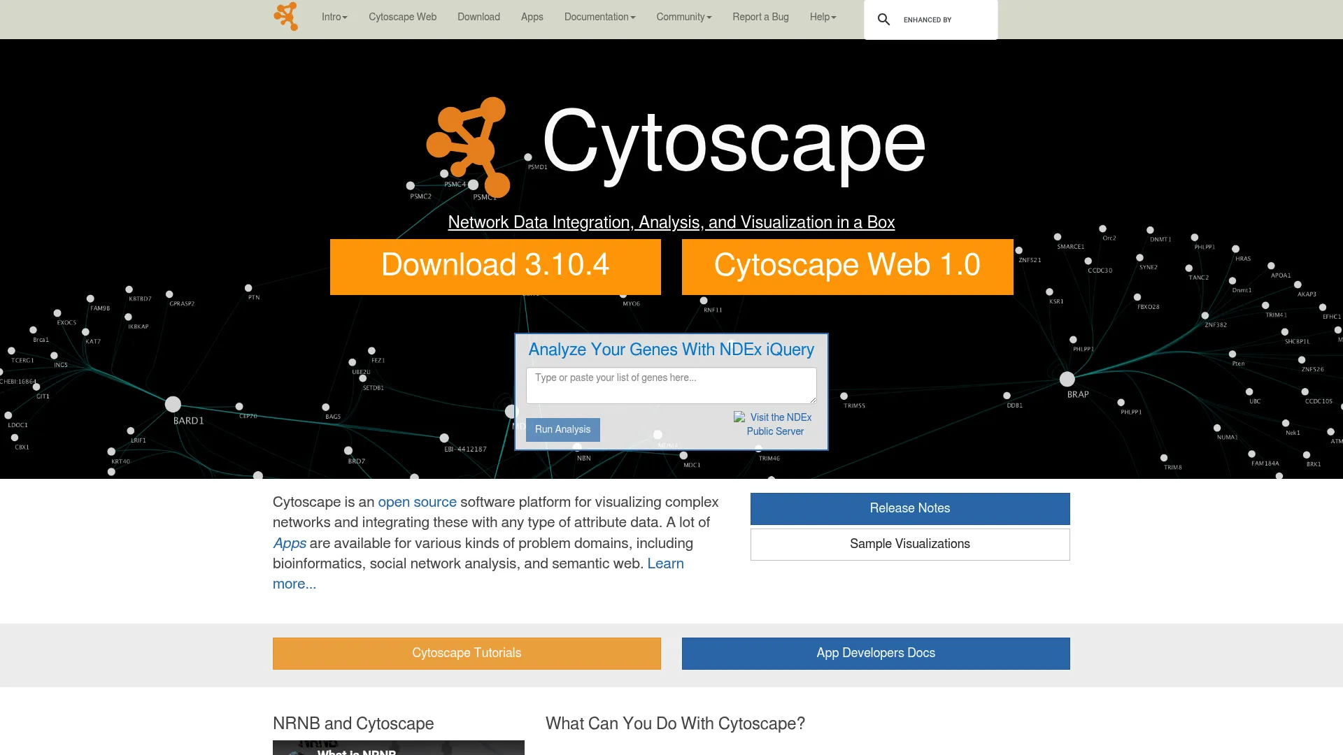 Cytoscape network analysis interface