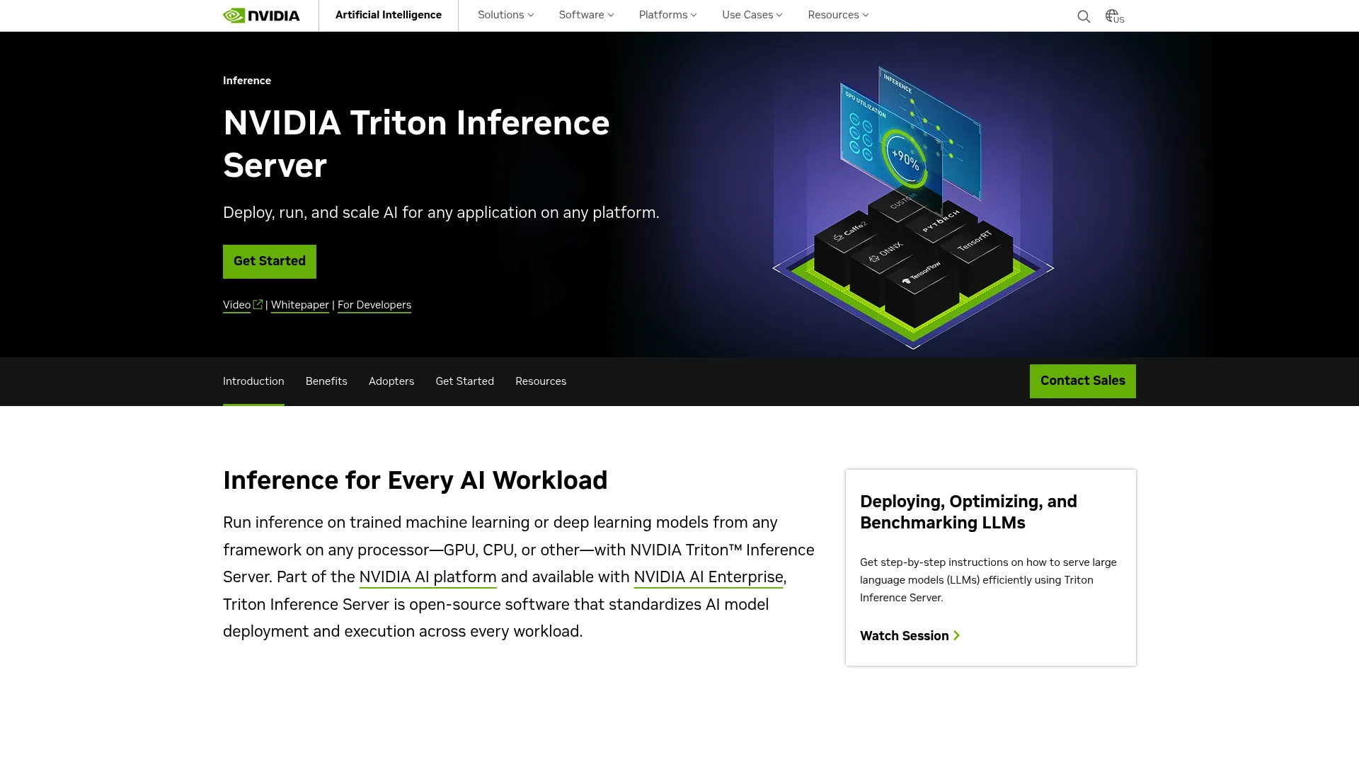Triton Inference Server page screenshot