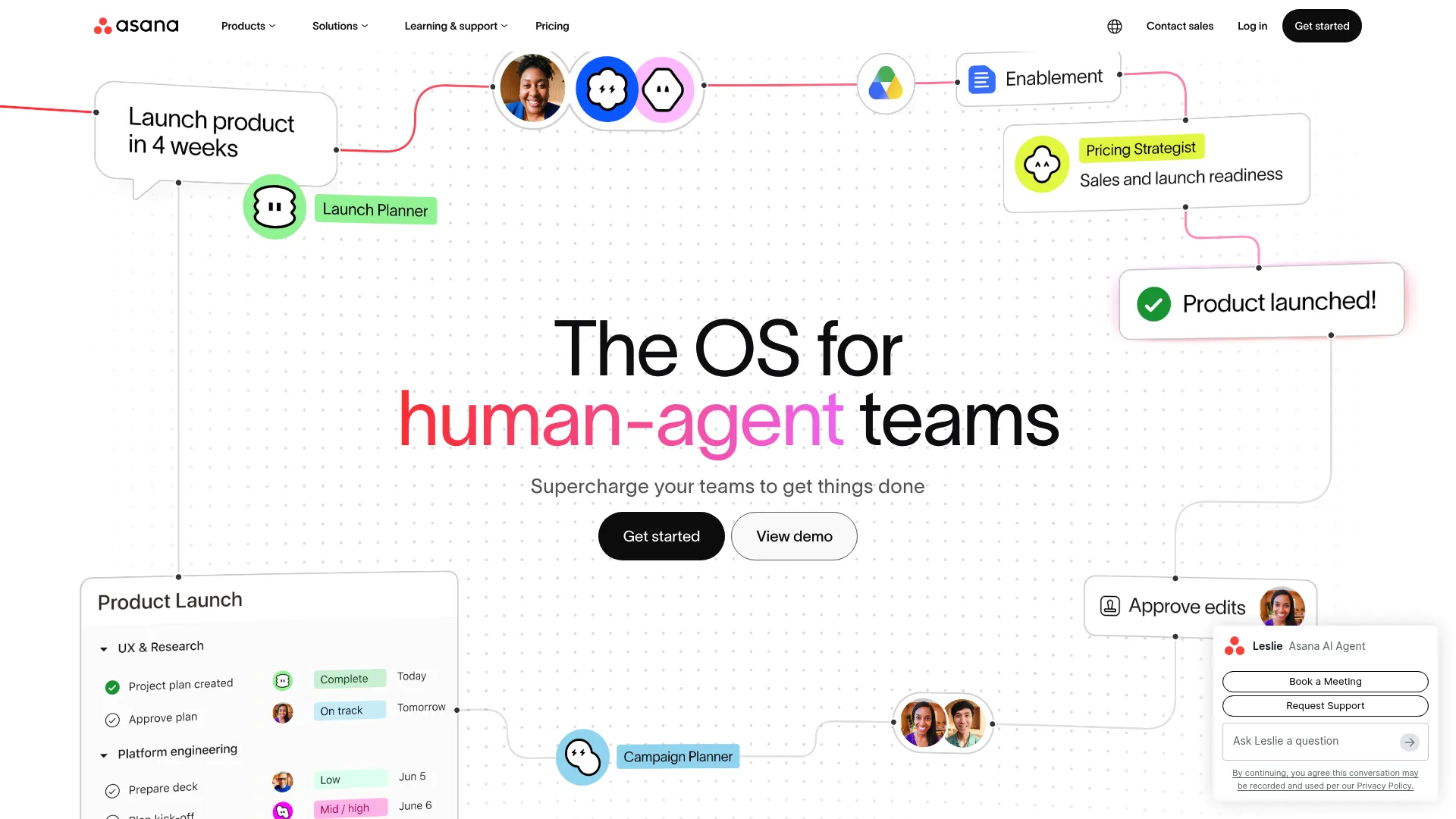 Asana work management interface