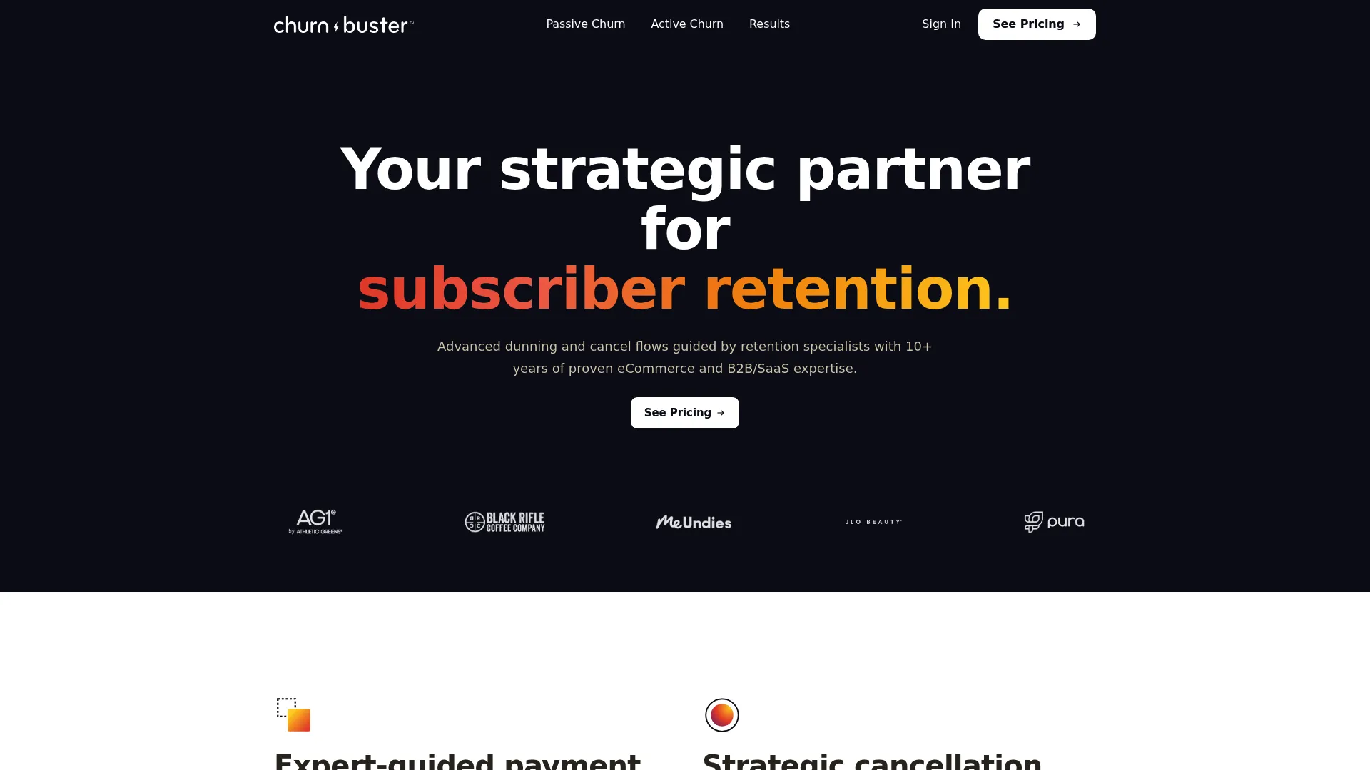 Churn Buster failed payment recovery software