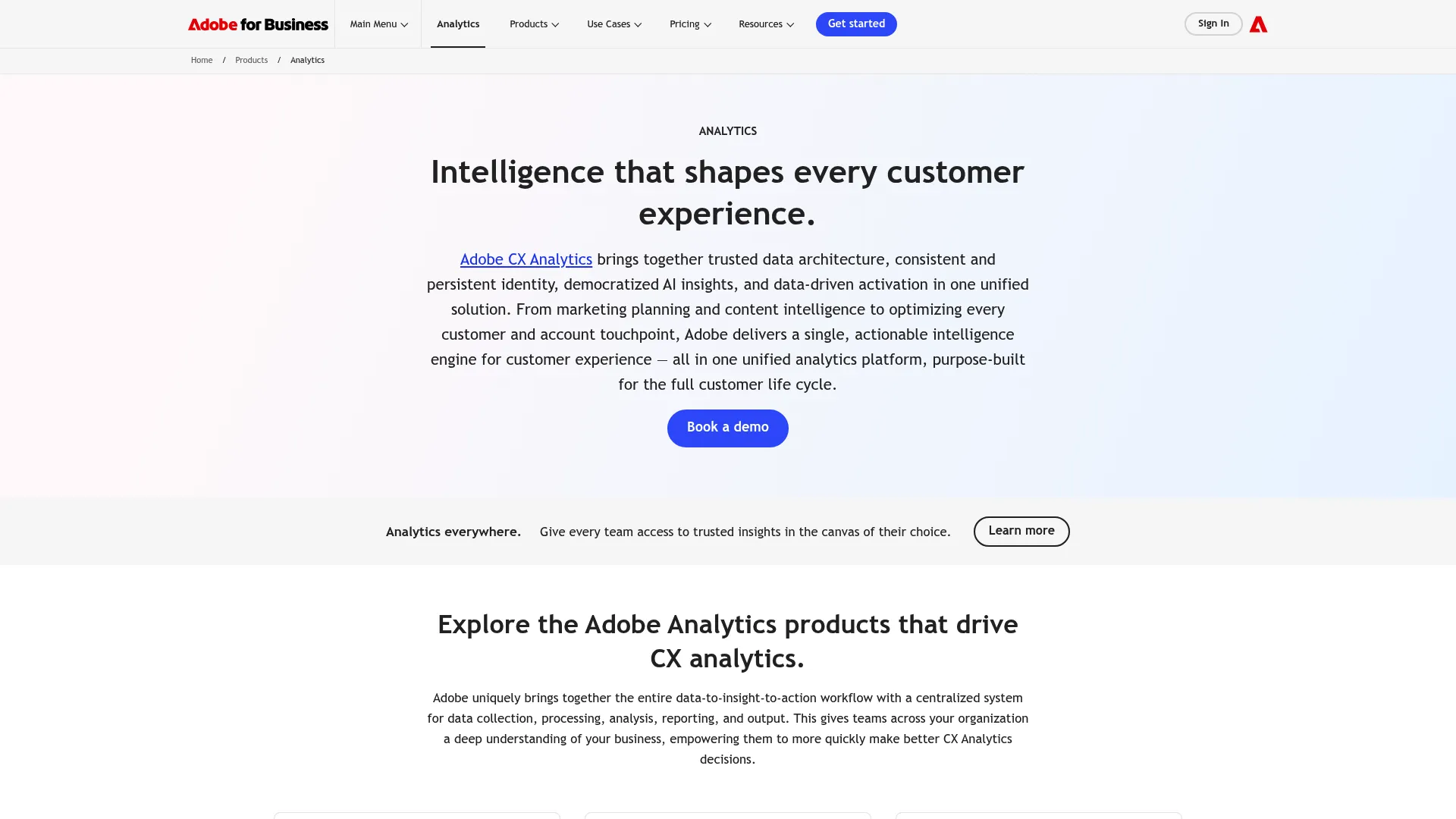 Adobe Analytics segmentation view