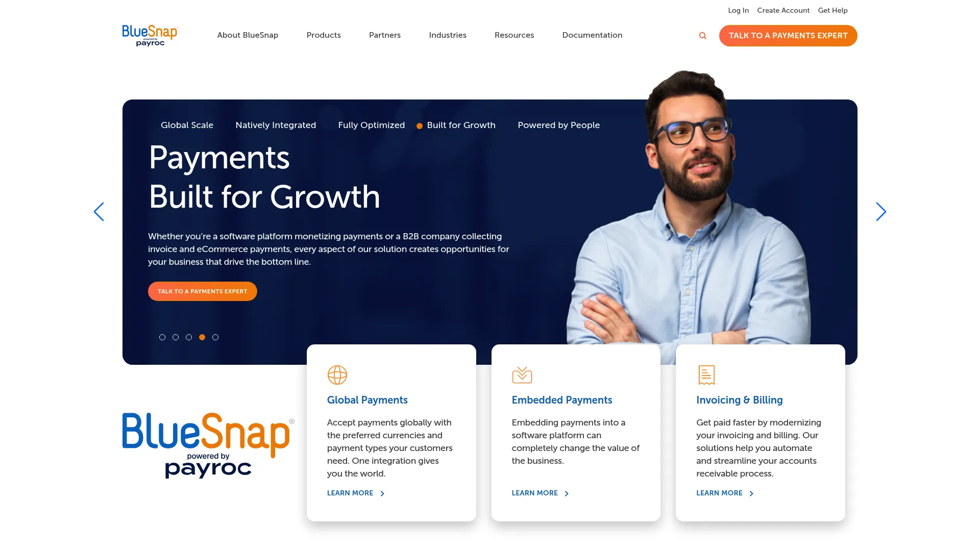 BlueSnap payment platform homepage