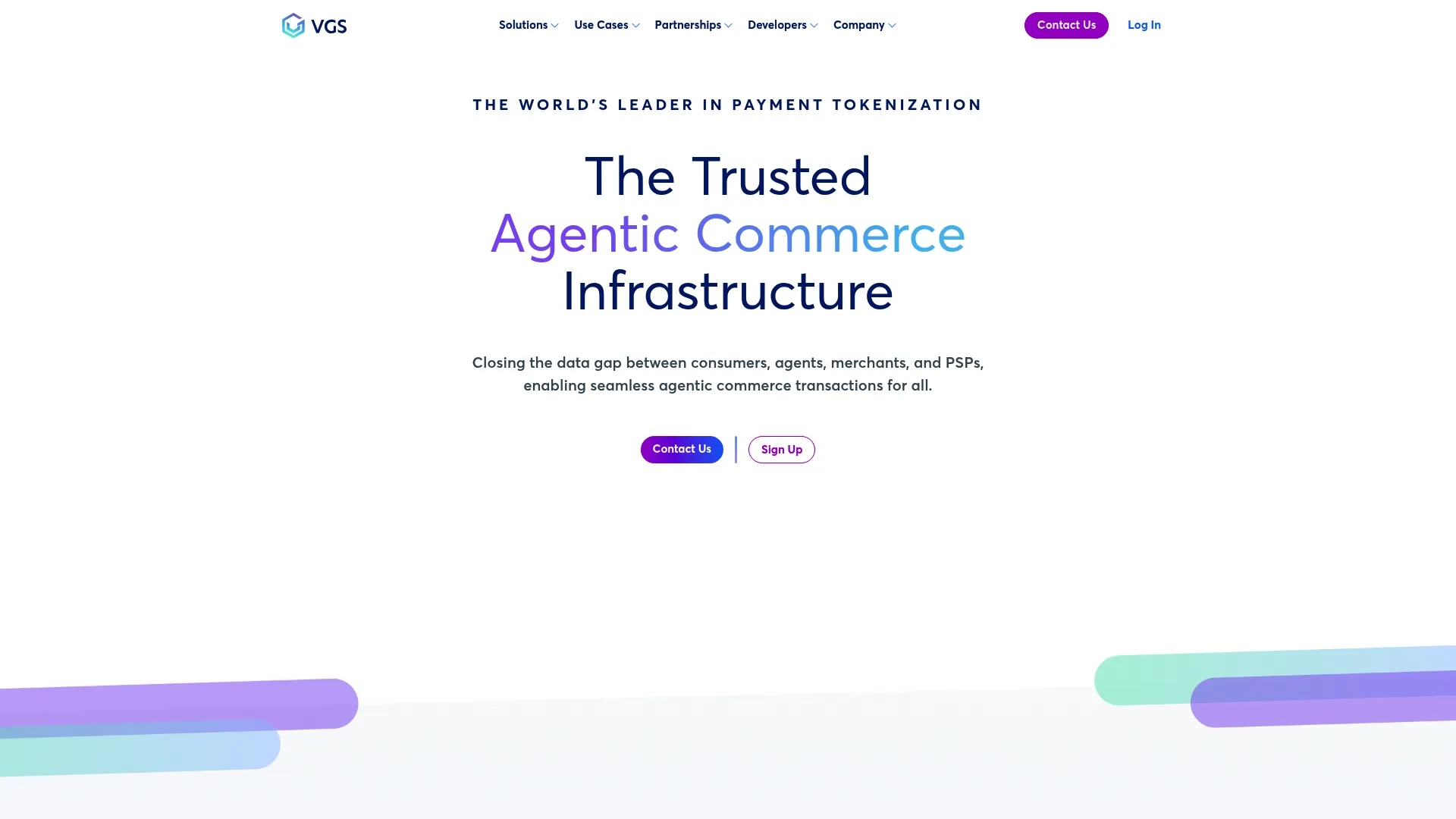 VGS Platform tokenization and data security interface