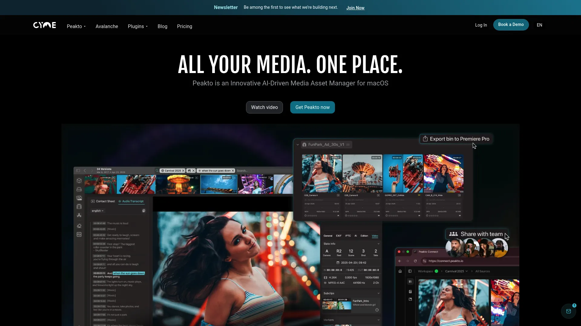 Peakto media asset manager interface