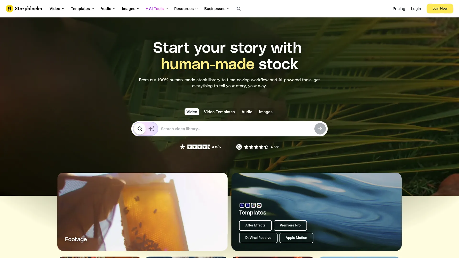 Storyblocks homepage