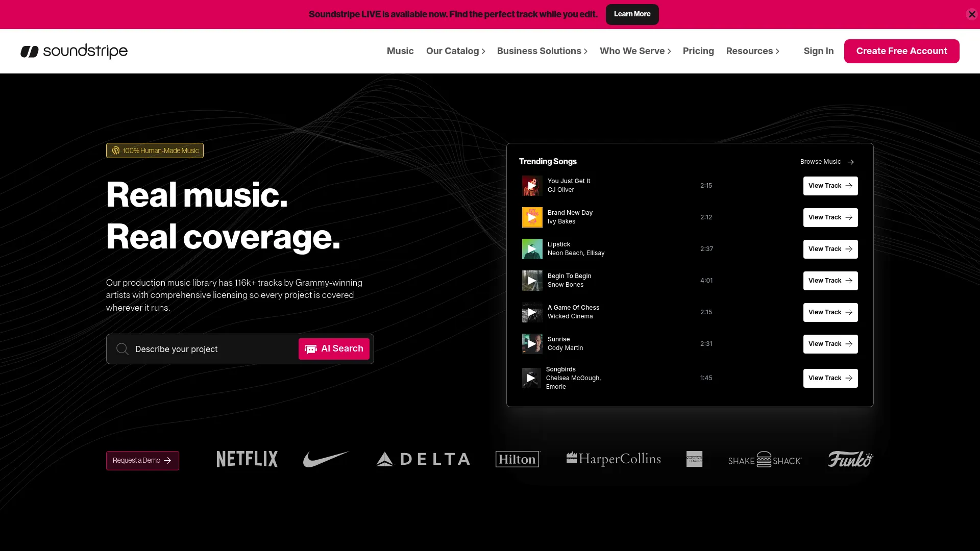 Soundstripe royalty-free music platform homepage