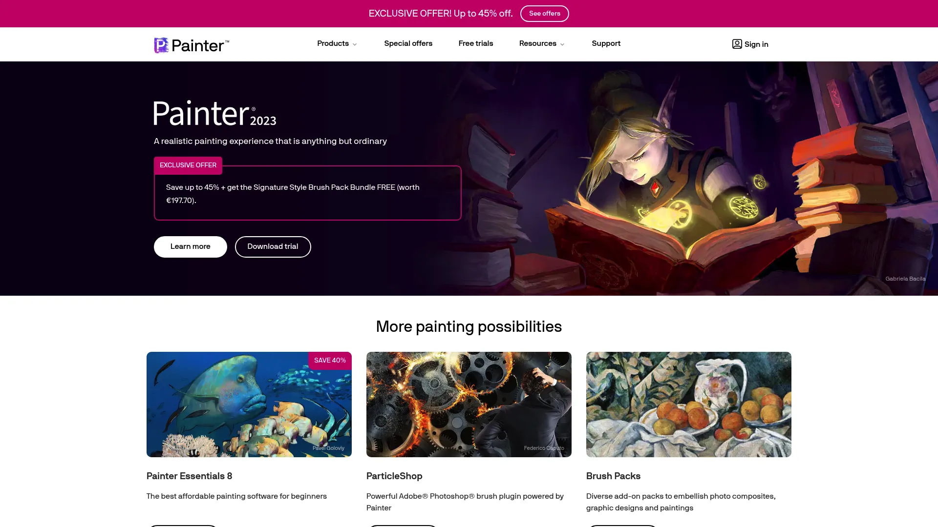 Corel Painter realistic digital painting software interface