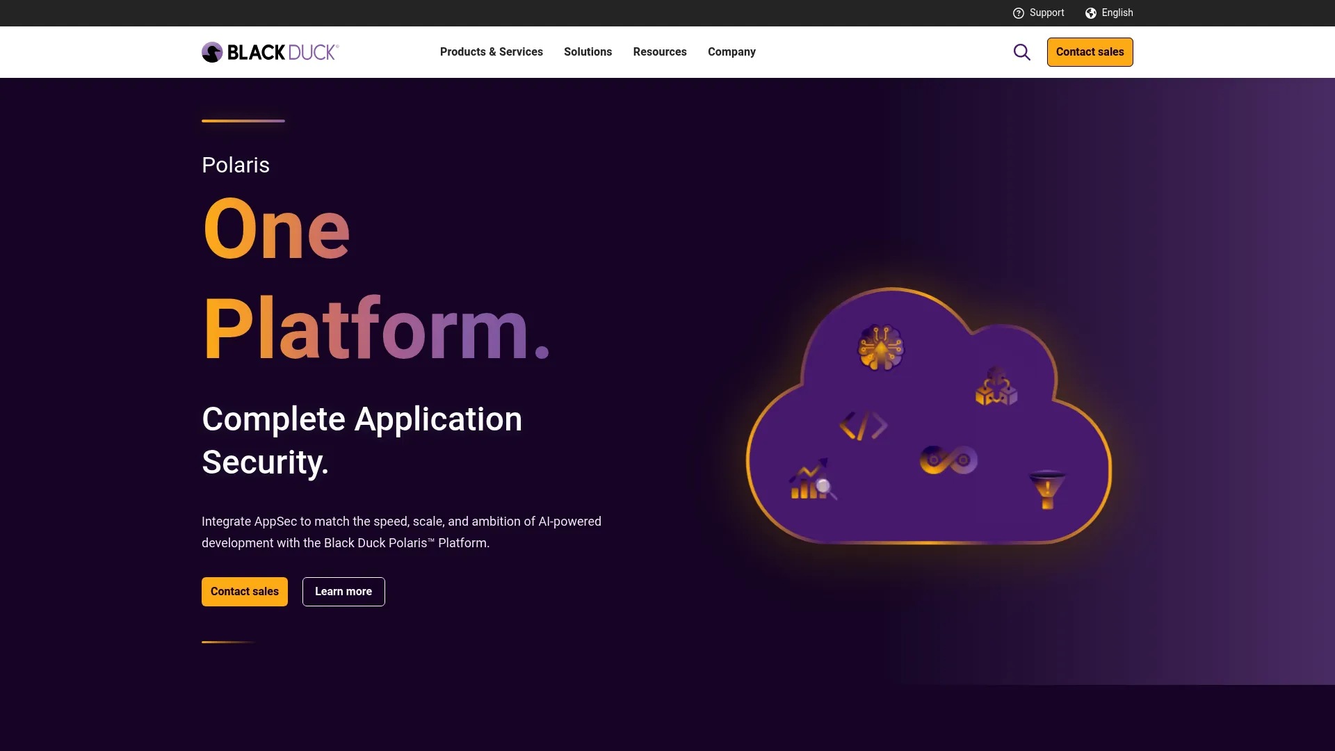 Black Duck software composition analysis platform