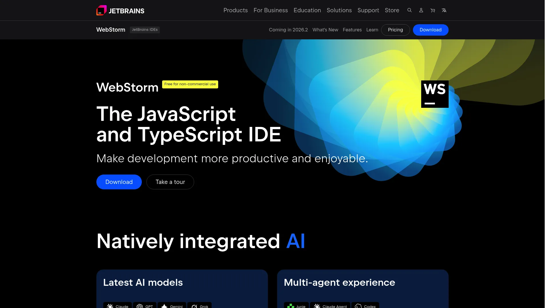 WebStorm IDE interface