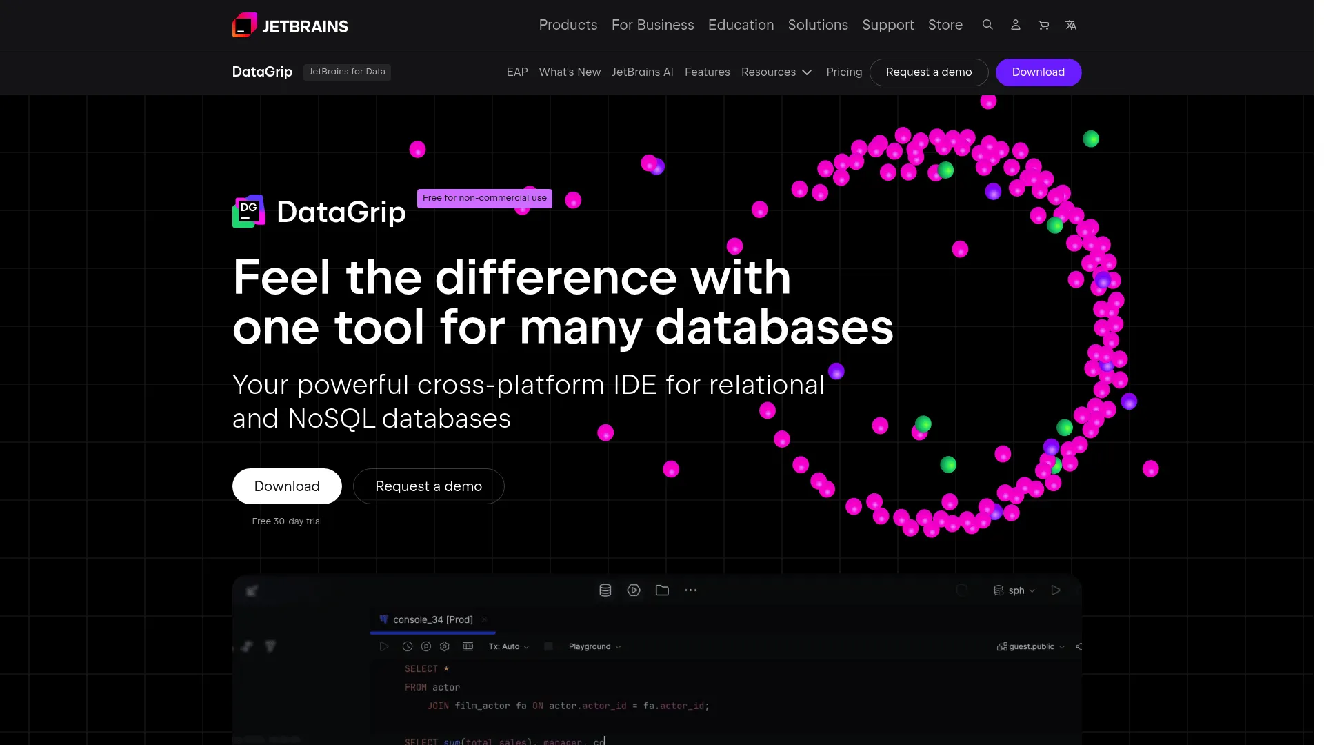 JetBrains DataGrip database IDE