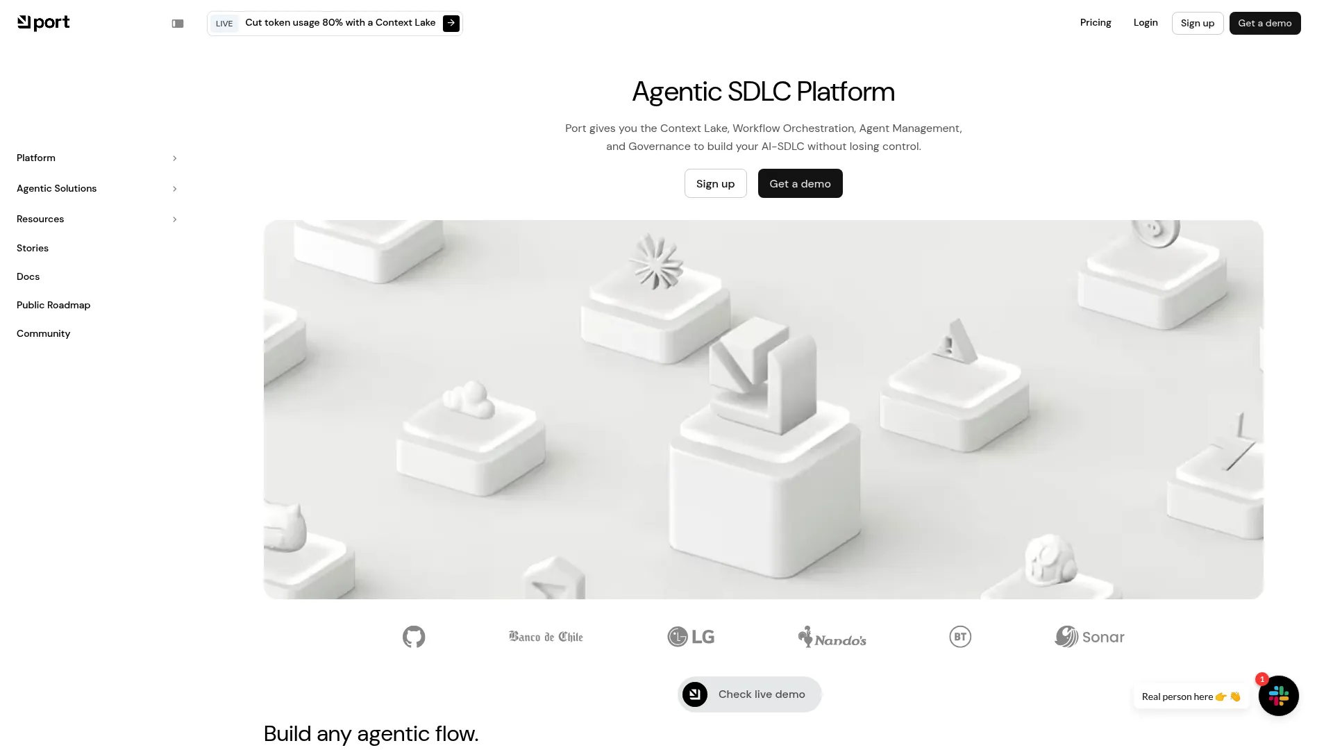 Port developer portal and software catalog interface