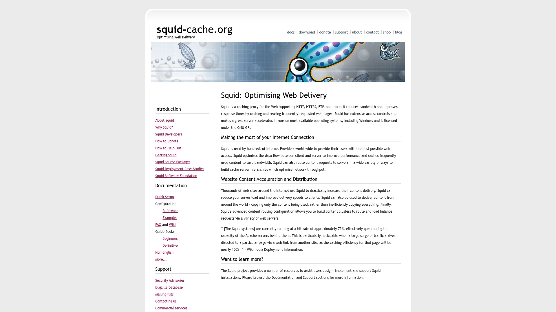 Squid web proxy caching server homepage
