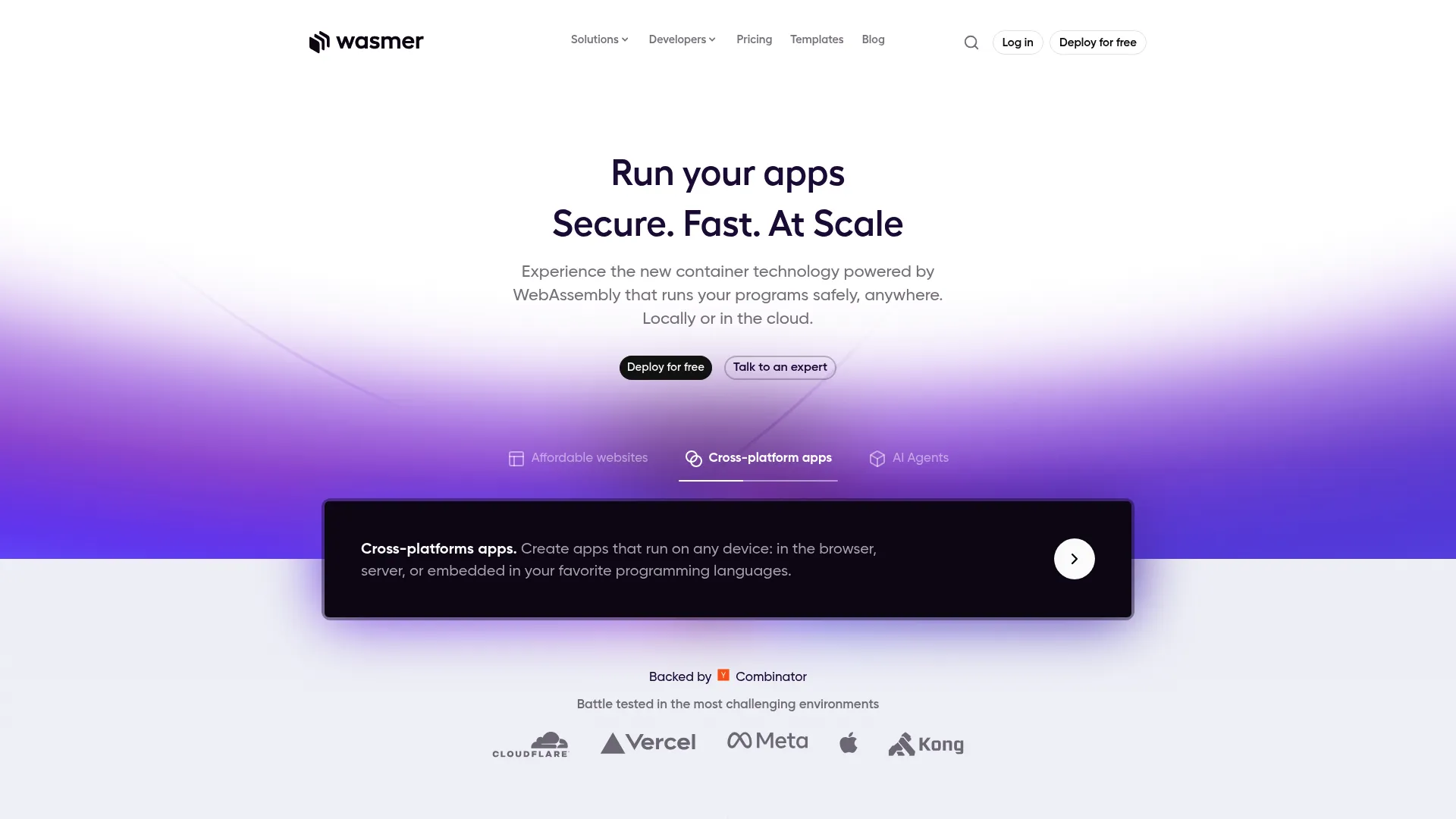 Wasmer hosting homepage