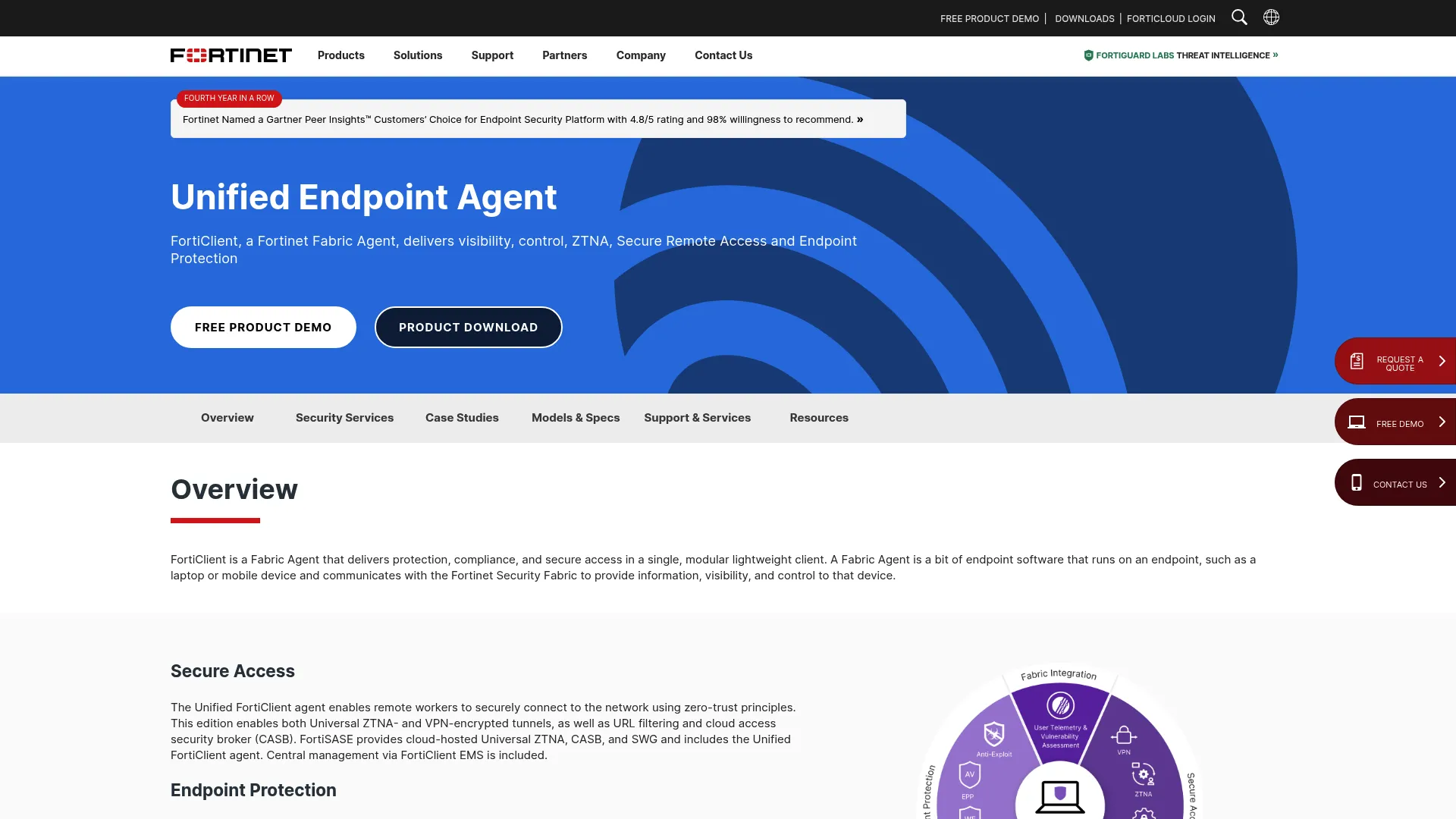 FortiClient interface