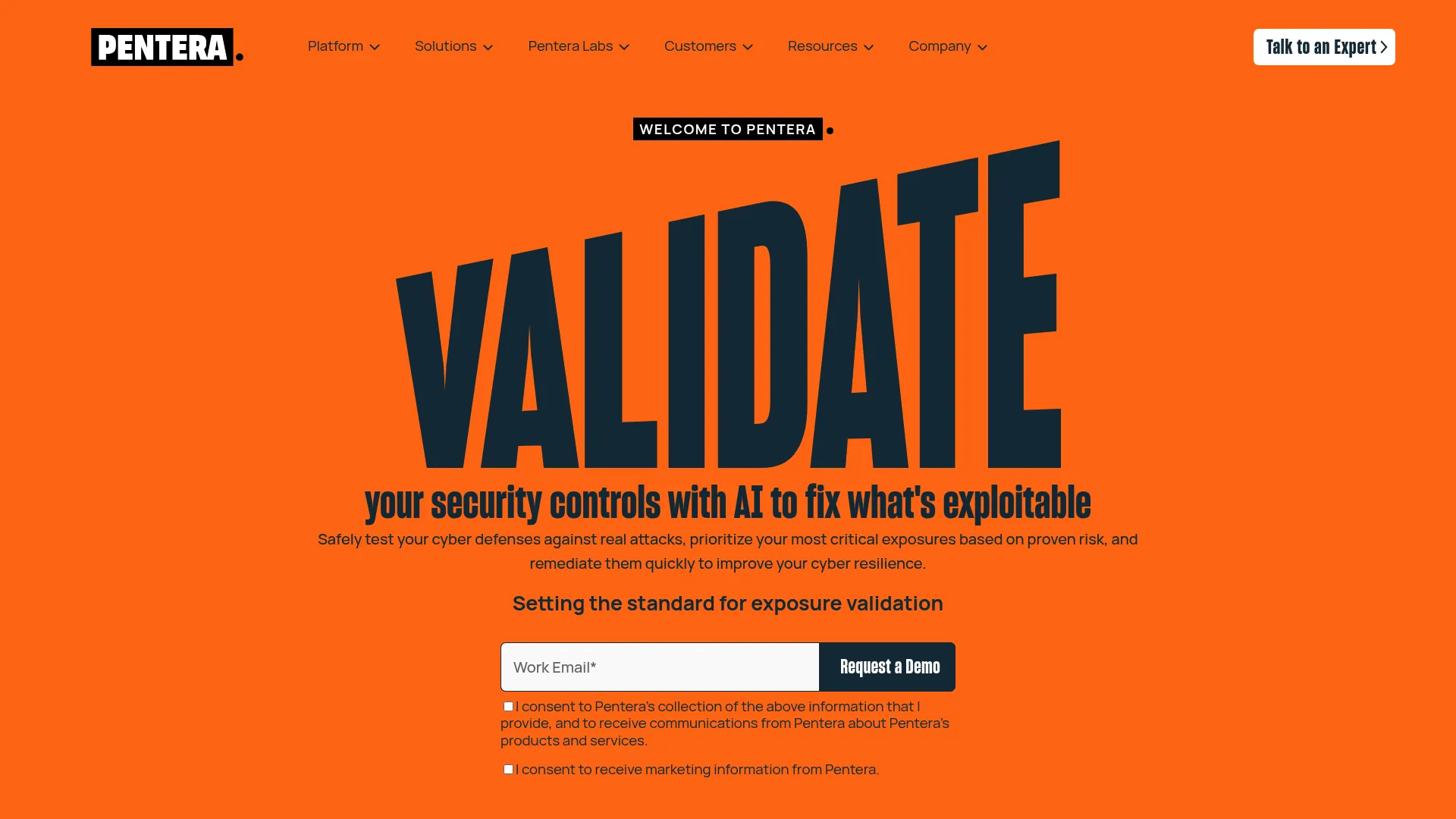 Pentera automated security validation platform
