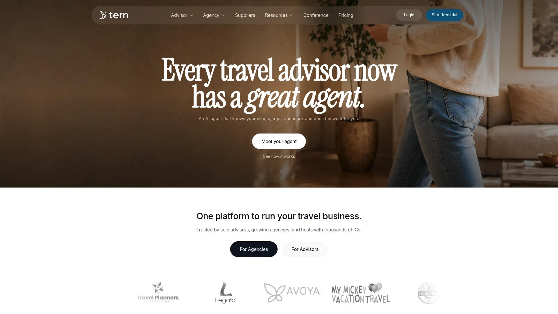 Tern travel agency software homepage