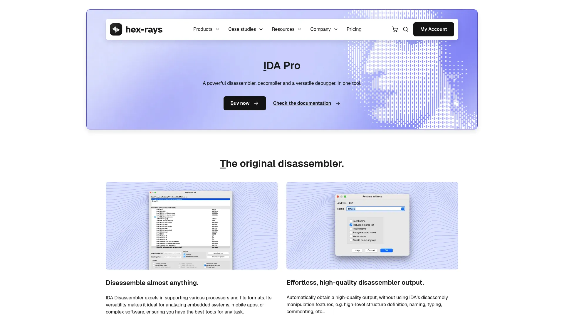 IDA Pro reverse engineering interface