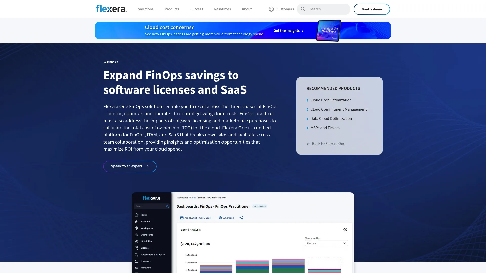 Flexera One FinOps platform screenshot
