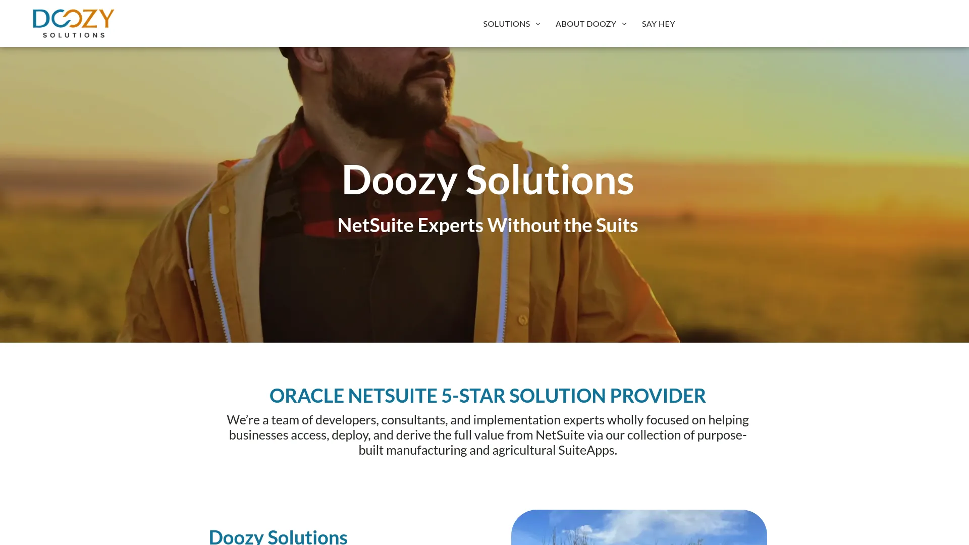Doozy Solutions homepage