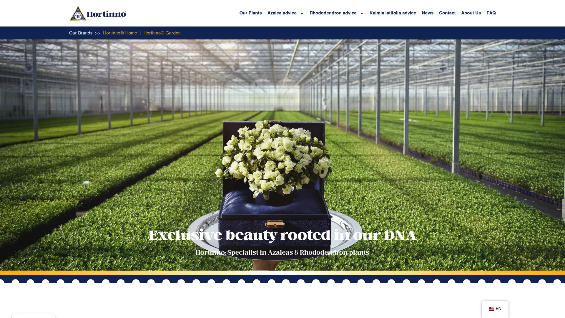 Hortinno branded plant products homepage