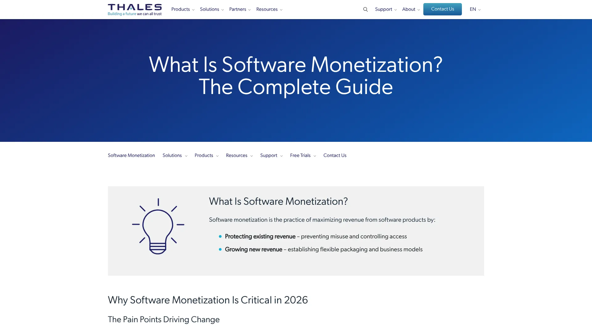 Thales software monetization portfolio overview