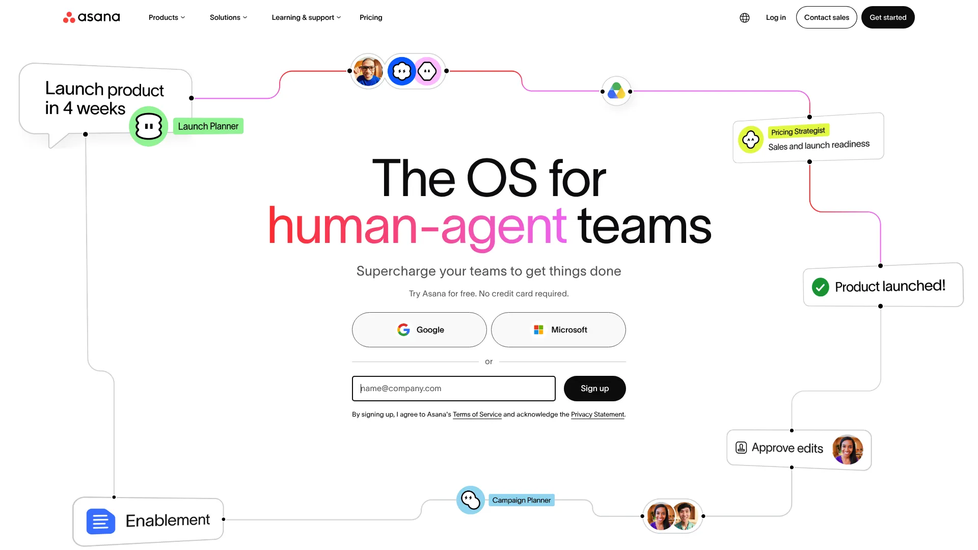 Asana project and task views