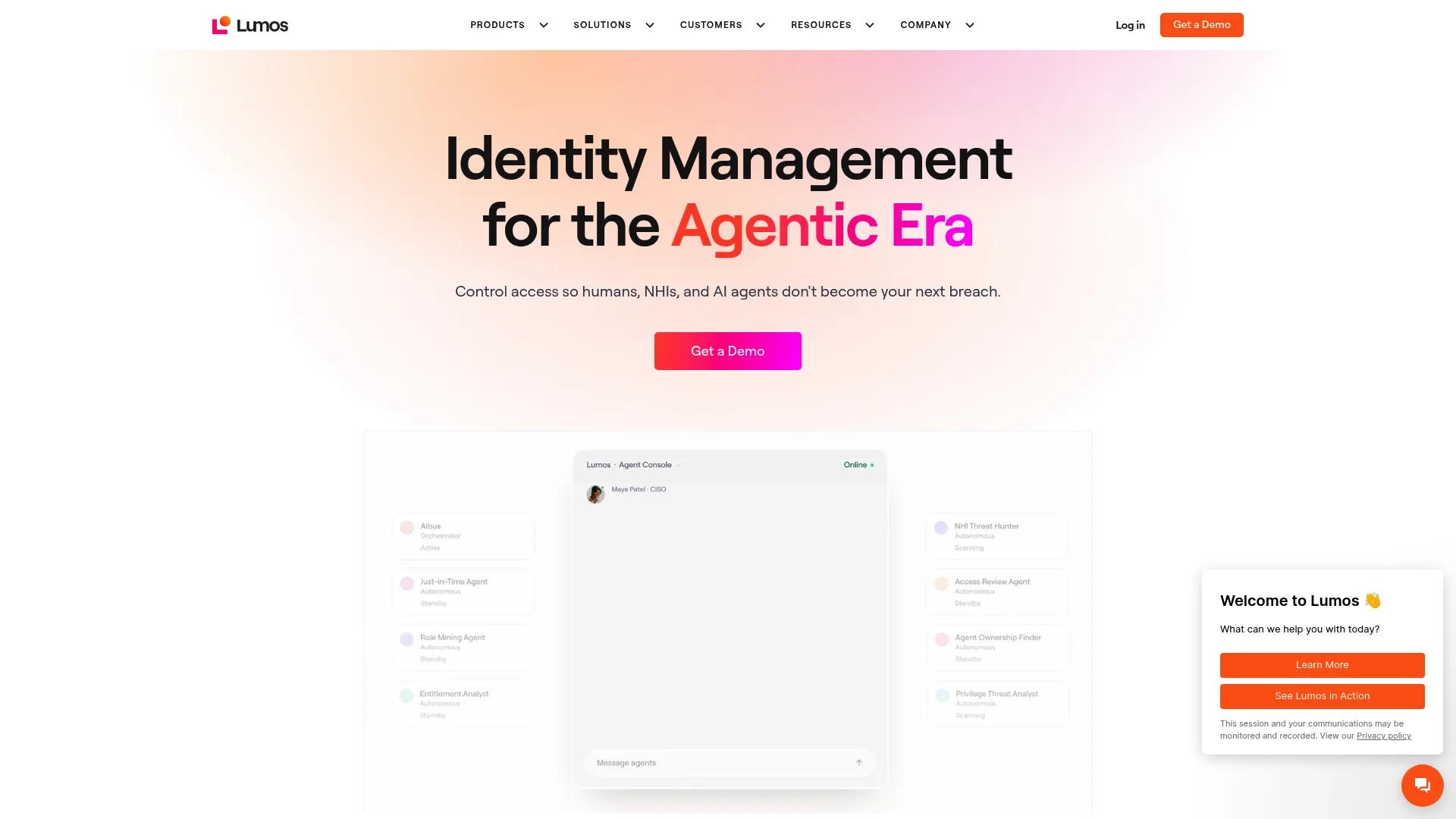 Lumos identity and access governance platform interface