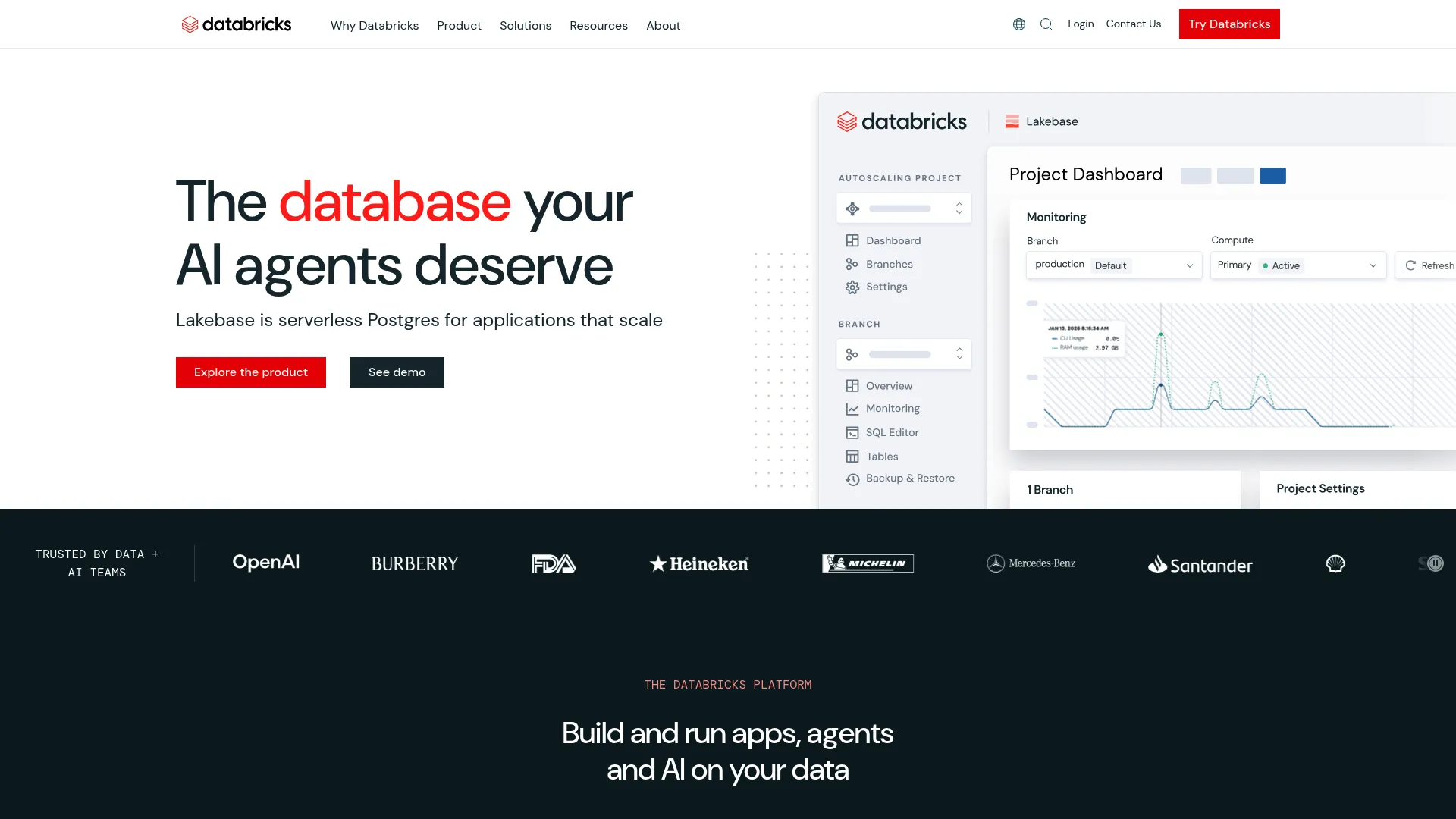 Databricks unified data and AI platform interface