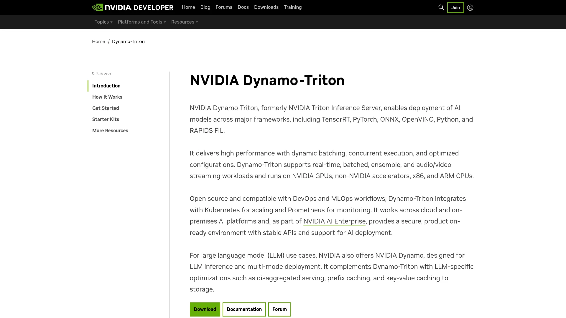 NVIDIA Triton Inference Server