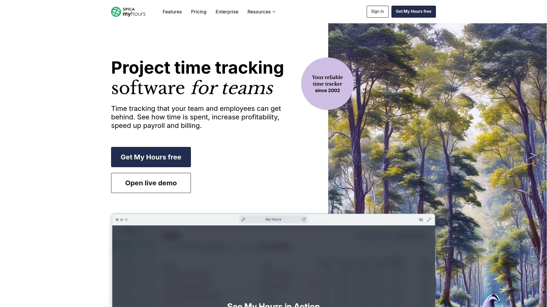 My Hours project time tracking and billing dashboard