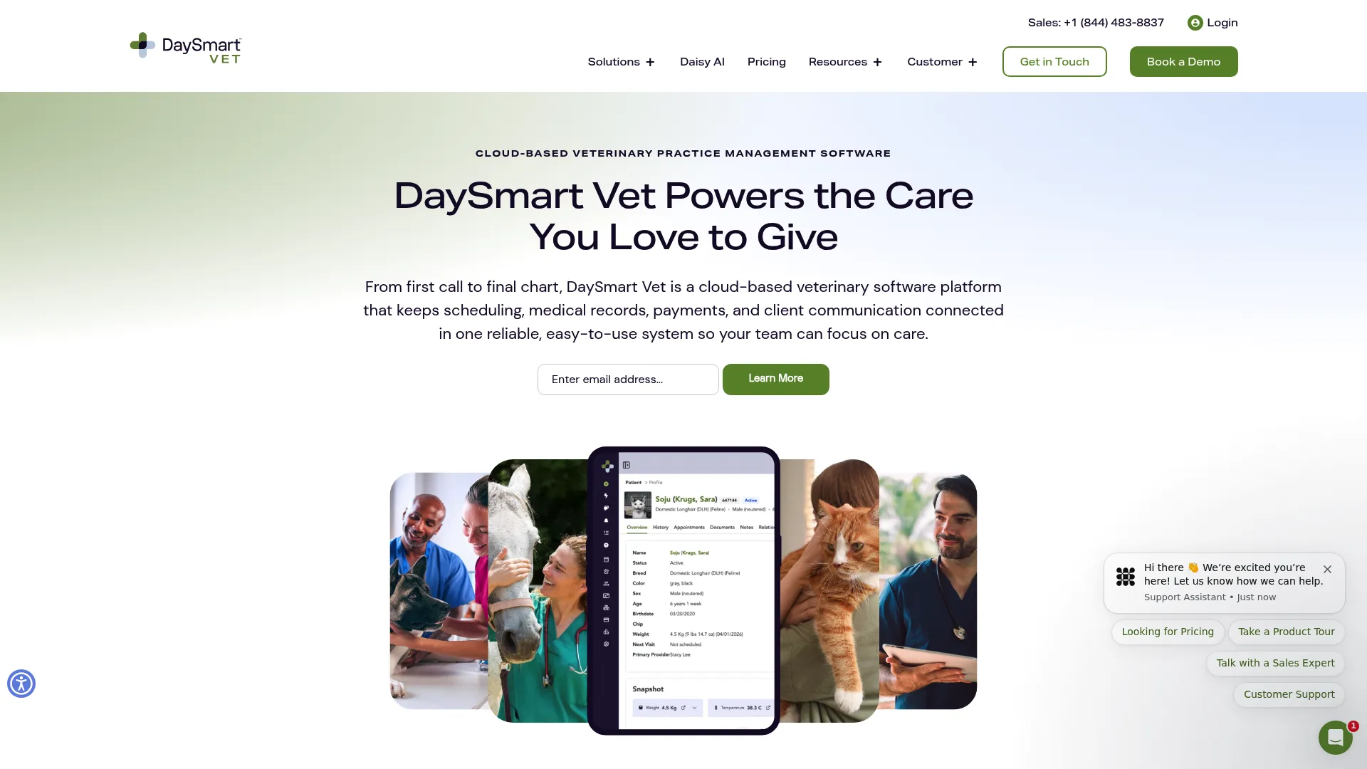 DaySmart Vet cloud veterinary practice management interface