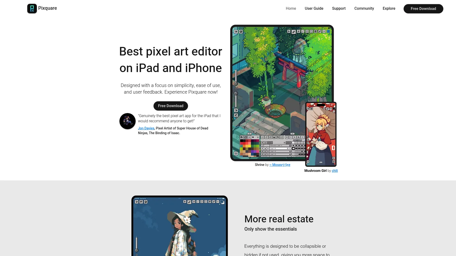 Pixquare pixel art editor for iPad interface