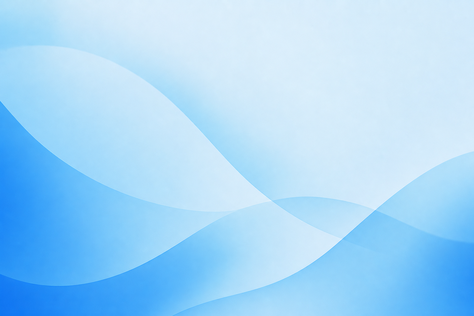 7 best calligraphy software for 2026