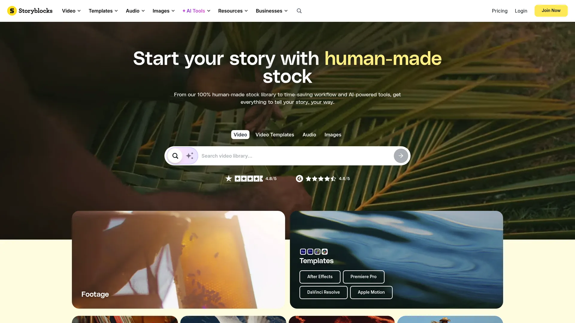 Storyblocks homepage screenshot