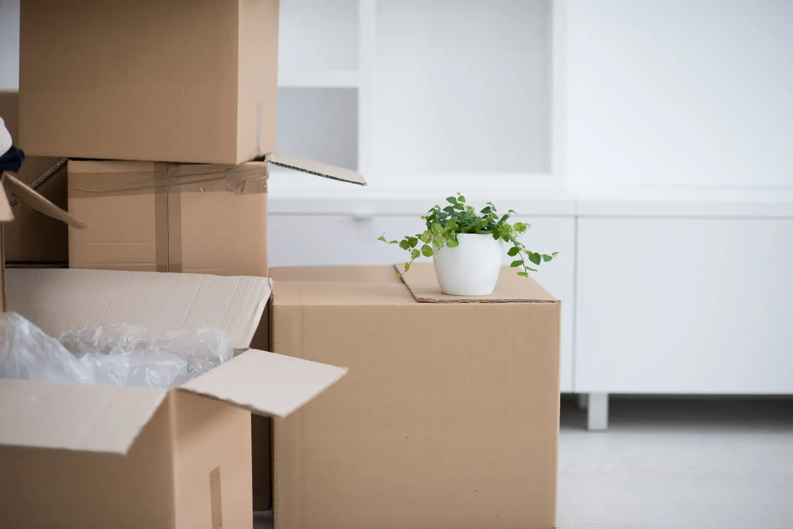 Stack of cardboard boxes with a small potted plant on top, representing self-packing tips on how to save money when moving