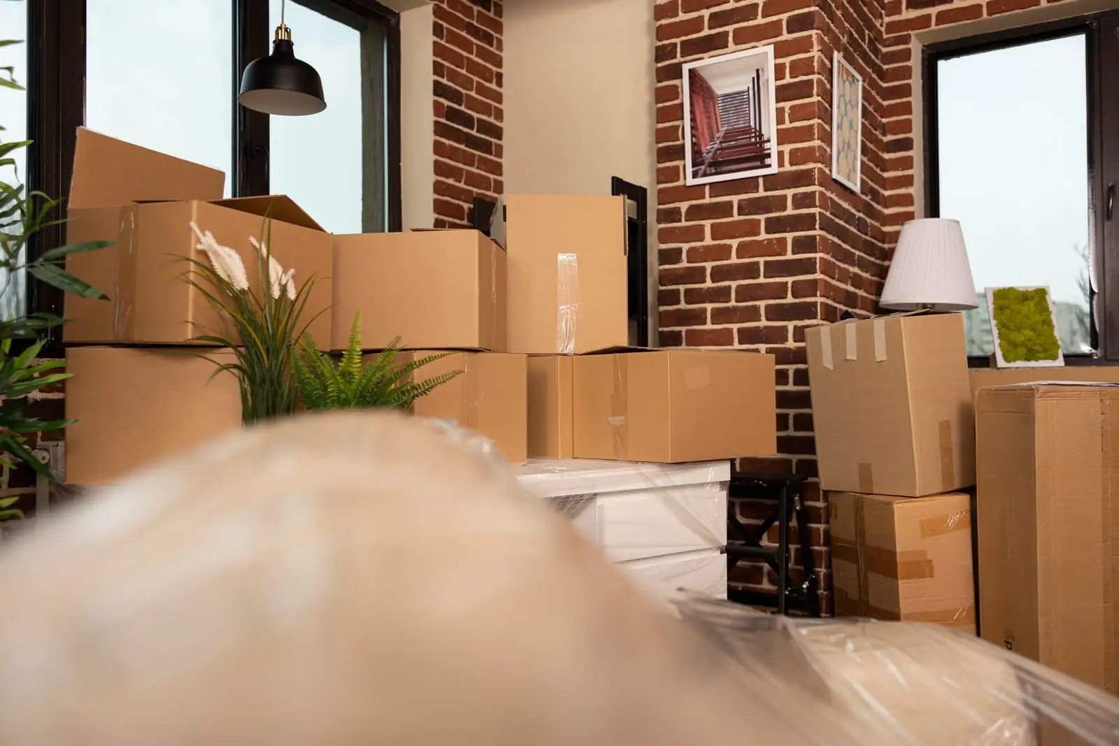 boxes prepared for the same-day moving