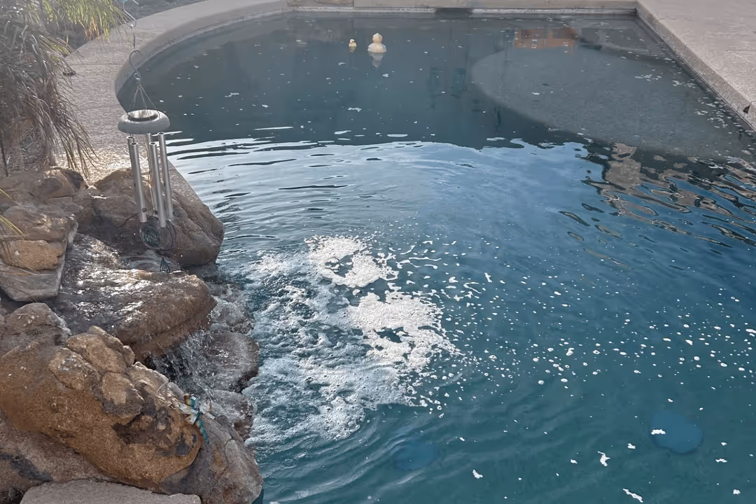 swimming pool cleaning service