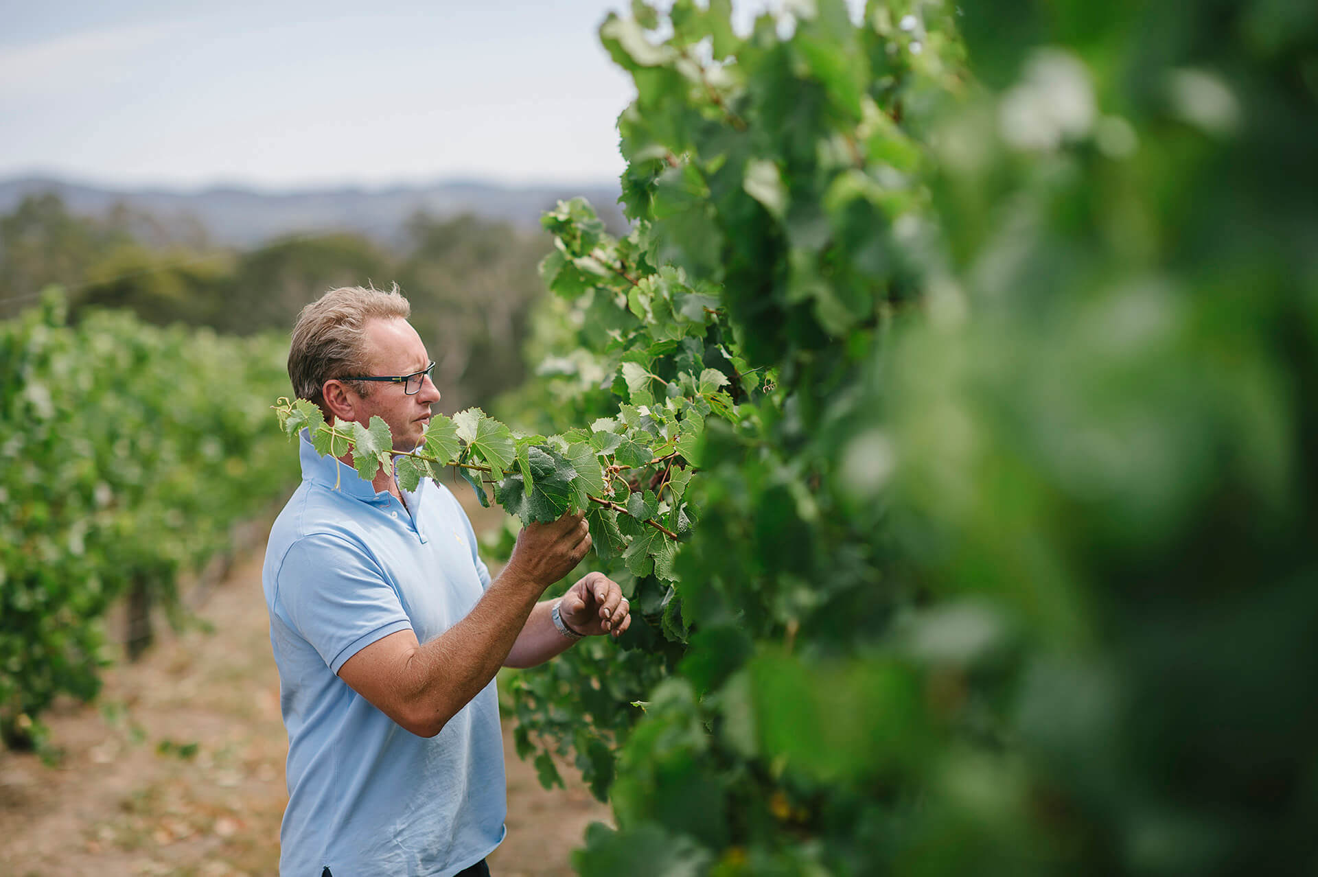 Marty from Silver Lining Wines