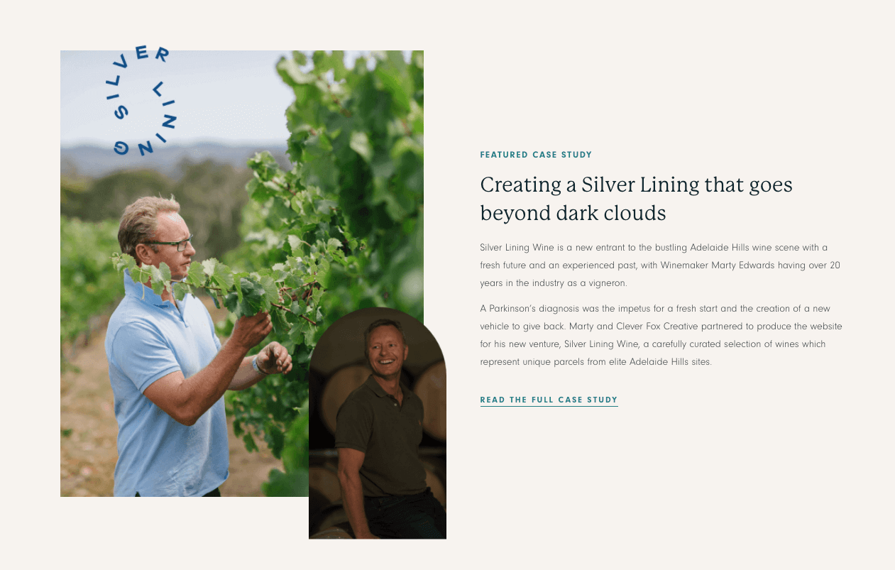 Case Study for Silver Lining Wines