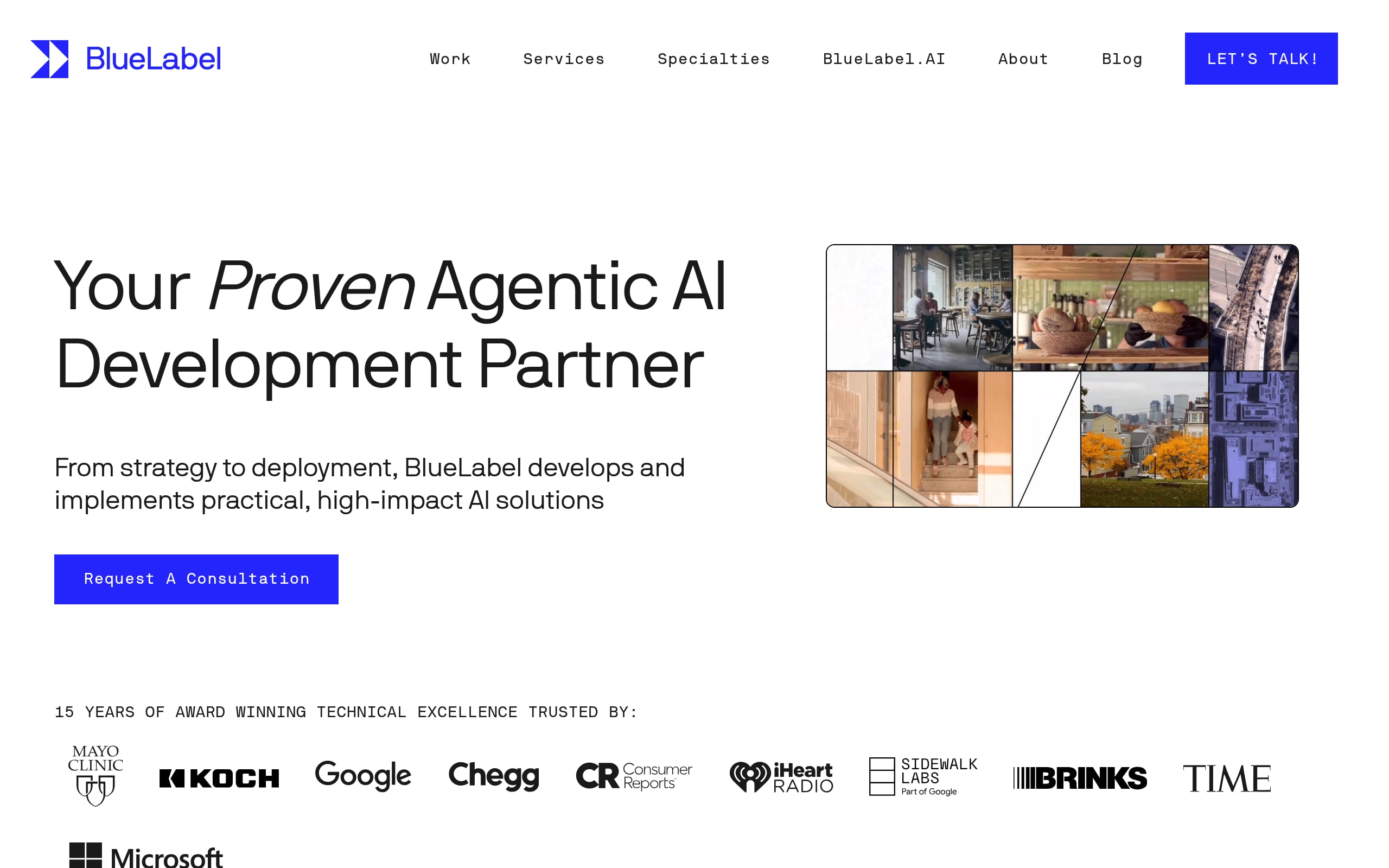BlueLabel Labs Screenshot